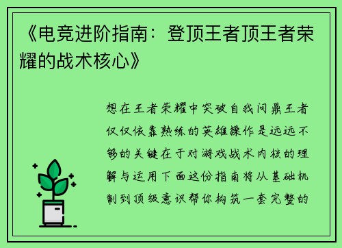 《电竞进阶指南：登顶王者顶王者荣耀的战术核心》
